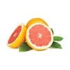 HIC Squirtfree Serrated Twin-Blade Grapefruit Sectioning Knife, Set of 2