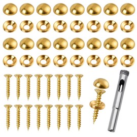 Lainballow 16 Pcs Brass Decorative Screws with Caps, 15 mm Self-Tapping Screws with Decorative Cover, Decorative Caps Cover Nails for Furniture Mirror Sign Advertising Glass Fixing (Gold)
