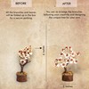 Crystal Tree for Home Decorations Crystals and Healing Stones Witchy