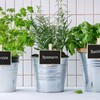 Relaxdays Set of 20 Reusable Blackboard Clips with Chalk Plant