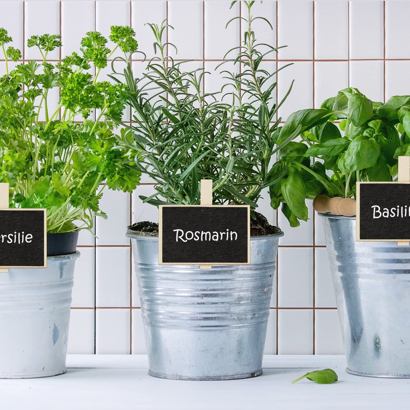 Relaxdays Set of 20 Reusable Blackboard Clips with Chalk Plant