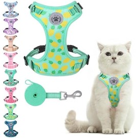 BEAUTYZOO - Juego de arnés y correa para gatos para caminar a prueba de escape, arnés ajustable de liberación de cuello para gatitos, cachorros,
