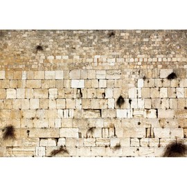 Pnylzzyxh 10x8ft Jerusalem Wailing Wall Backdrop Israel Ancient Cityscape Backdrop Photo Backdrop Photography Background