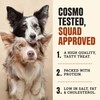 Cosmo's Snack Shack Pork Meat Sticks for Dogs - Original