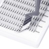 GEMERRY Ready-to-Use Fan Eyelashes, 3D Lashes, Volume, Individual Eyelashes, 0.07