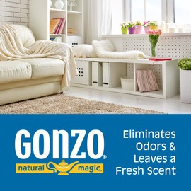 Gonzo Odor Absorbing Gel - Odor Eliminator for Car RV Closet Bathroom Pet Area Attic & More - Captures and Absorbs Smoke Mold and Other Odors - 14 Ounce, Scentillating Citrus