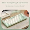DROP Expression Series Shinai TKL Mechanical Keyboard - Holy Panda