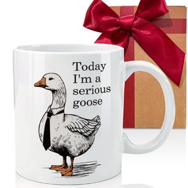 CATABUBU I'm a Serious Funny Goose Mug Gift for Nurse Women Goose Lover Friends, Nurse Gifts for Women Nurses Practitioner RN LPN, Birthday Gifts for Nurses