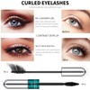 Kit de Maquillaje Todo en Uno 12 Colores – TERRYYO