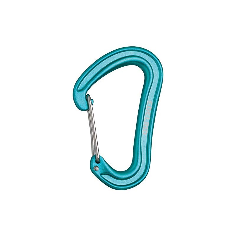 Edelrid Nineteen G Carabiner, Karabiner Nineteen G, Icemint