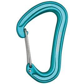 Edelrid Nineteen G Carabiner, Karabiner Nineteen G, Icemint
