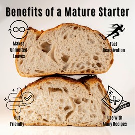 Dehydrated Sourdough Starter by Made With Loave | INCLUDES Recipe | Beginner Friendly | As Seen On TikTok | 5g