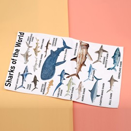 Sharks of The World Kitchen Towel Sharks Tea Towel for Sharks Lover Killer Sharks Gift Ocean Animal Lover Dish Towel (Sharks Towel)