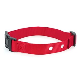PetSafe 1 Inch Replacement Collar Strap with 2 Holes, for Wireless Fence and In-Ground Fence Collars - for Dogs, Red