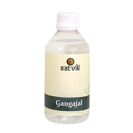 Satvik 200 ml Pure and Natural Unfiltered Holy GangaJal Water, Sudh Ganga Jal Water from Haridwar for Pooja, Vastu, Purity for Home and Office (200 ML, GANGA JAL)