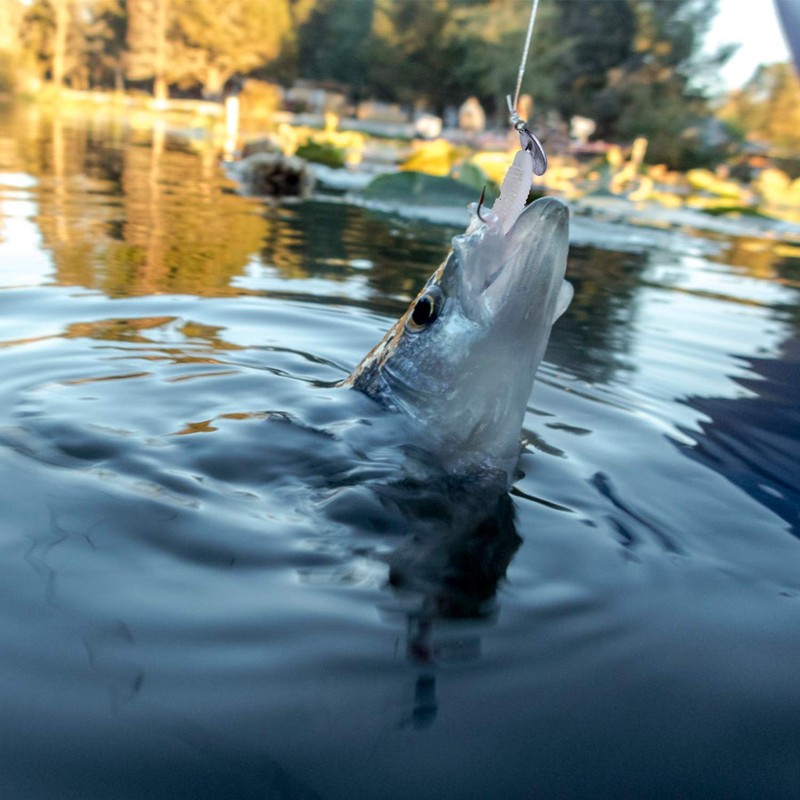 Goture Jig Head Set Fish Hook Upright Lure with Case