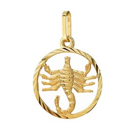 NKlaus Zodiac Zodiac Pendant 585 Yellow Gold 14 Carat 15 mm, Yellow Gold