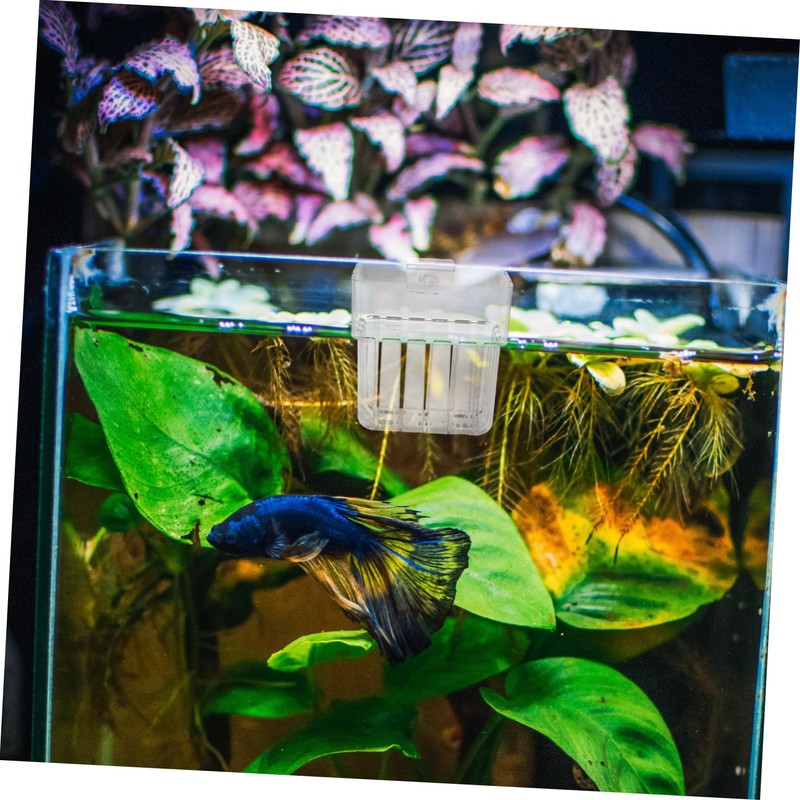 SUPVOX 8pcs Aquarium Hanging Planter Cups Transparent Acrylic Fish Tank
