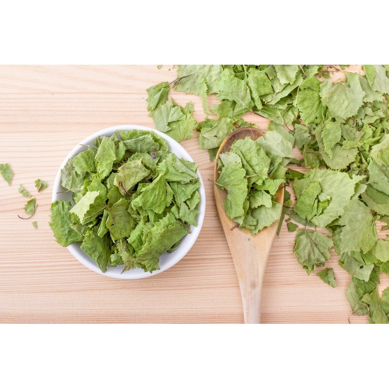 Health Embassy Common Birch Leaf Tea | Betula pendula L