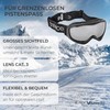 Black Crevice Adults 'Ski Goggles Black black/Silver Size:One Size