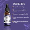 Gurunanda Cold Pressed Black Seed Oil with Vitamin D3, K2,