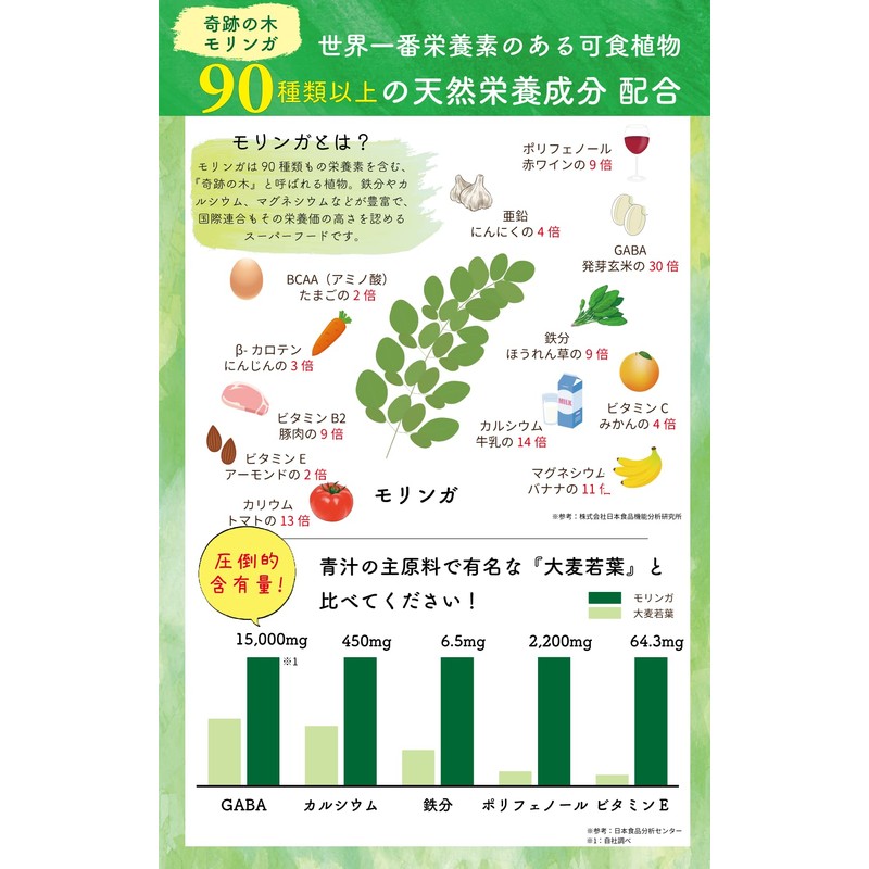 【 沖縄産 発酵 モリンガ 100% 】美らの恵み フルーツ 青汁 無添加 無農薬