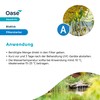 OASE 43150 AquaActiv BioKick Pond Bacteria Starter Bacteria for Fish