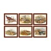 Lady Clare Gould Game Birds Coasters - Set of 6