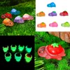 70 PCS Mini Turtles, Tiny Turtle, Tiny Turtles with Fruit