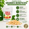 Semilla 4 Meses Tratamiento Reductor Natural Control Peso