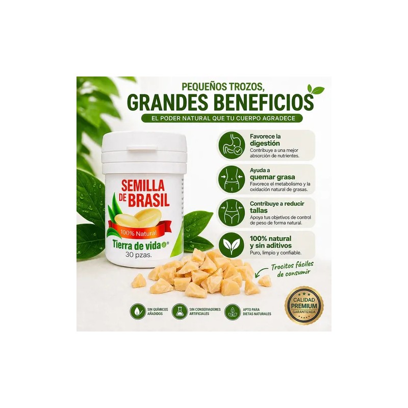 Semilla 4 Meses Tratamiento Reductor Natural Control Peso