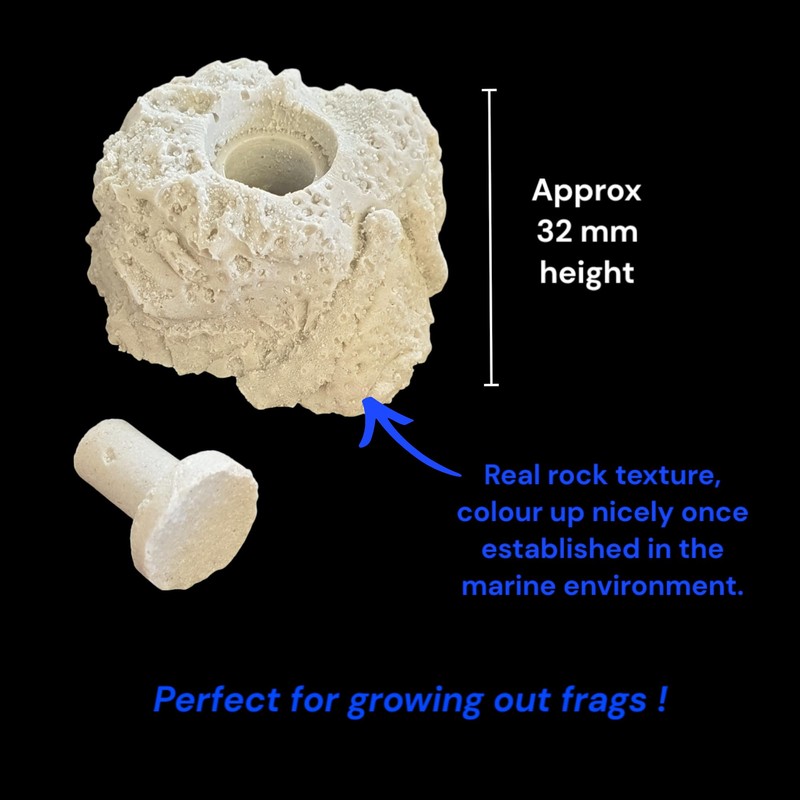 Coral Frag Propagation Rock x 1 With Plug