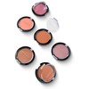 Set/Kit Rubor Blush en Polvo Para Rostro Bissú Nuevo (6