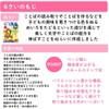 Gakken Staefl N04810 Infant Educational Teaching Materials 6 Years Old