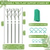 Vocray Plant Support Stakes for Indoor Plants,Trellis for House Potted