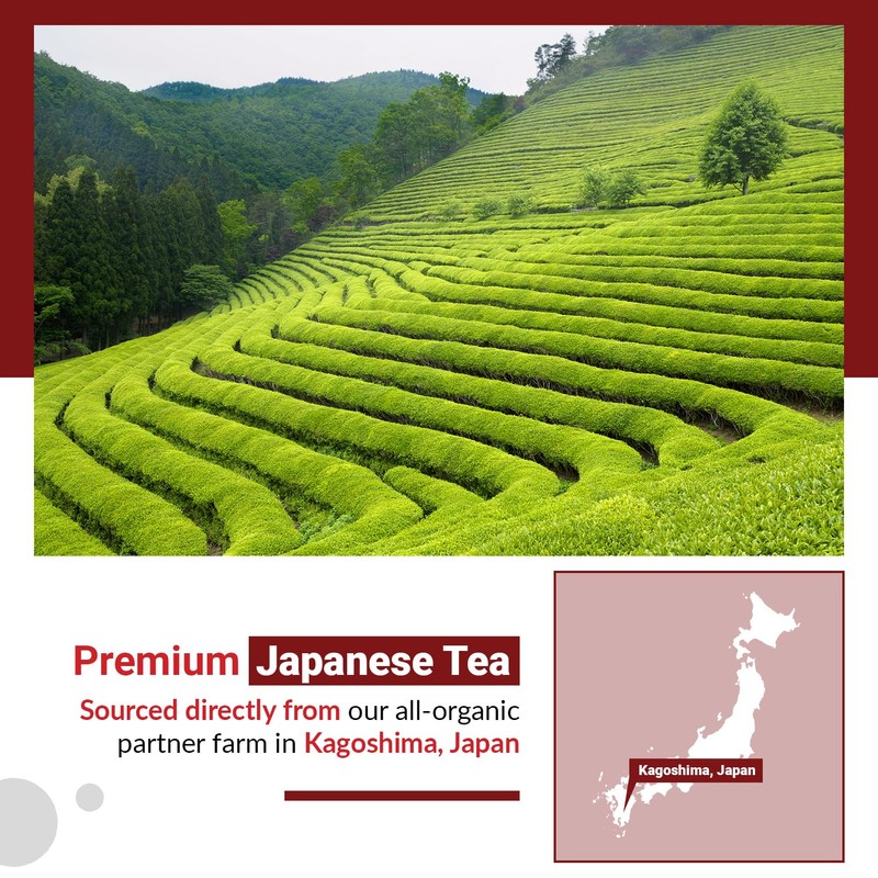 Matcha Moon Organic Matcha Style Wakoucha Black Tea Powder -