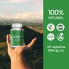 BULK SUPERFOODS Moringa Pura Orgánica 100 Natural