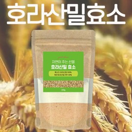Khorasan Wheat Enzyme 220gX1 Pack (2 Months Supply) Digestive Grain Enzyme Kamut Enzyme Powder / 호라산밀 효소 220gX1팩 (2개월분) 소화 곡물 효소 카무트 효소 분말