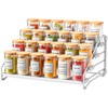 MAYZOLOP 4 Tier Spice Rack, Standing, Spice Rack, No Drilling,