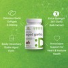 DEAL SUPPLEMENT Odorless Aged Garlic Pills, 6,000mg Per Serving, 500