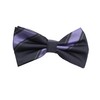 Fabio Farini - Elegant striped men's bow tie cross ties