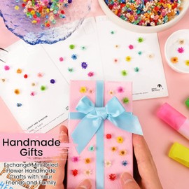 SYOZPXY 850Pcs Colorful Dried Flowers for Crafts Resin, Small and Delicate Dried Flowers for Candles Making, Dry Pressed Flowers for DIY with Your Friends, Mini Natural Dried Flowers to Beautify Your Nails