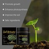 Soil Pro Activator,200G Soil Activator for Plants,Soilactivator for Fruit Trees-Promotes