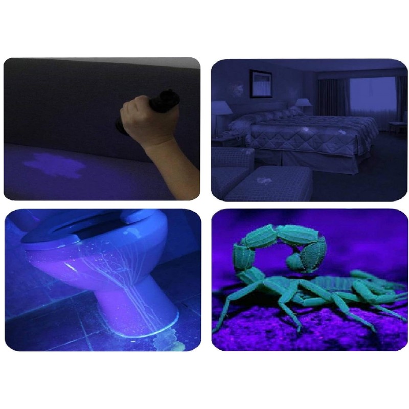 365NM UV Flashlights USB Rechargeable, Blood Tracking UV Light, Portable