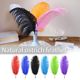 VGOL 15pcs Natural Ostrich Feathers Mixed Colorful Feathers 25-30cm for DIY Craft Art Design Non-Toxic Odourless Dream Catchers Wedding Party Home Decoration