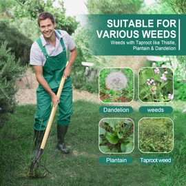 Rakukiri Stand Up Weed Puller Tool Heavy Duty Weeding Tool with Long Wooden Handle and 4-Claw Steel Head