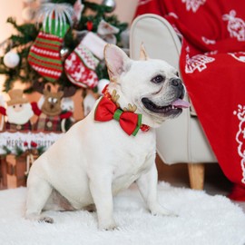 azuza Christmas Dog Collar Reindeer Print Xmas Dog Collar with Removable Glitter Antler Bowtie, Adjustable Dog Collar Accessories for Medium Dogs