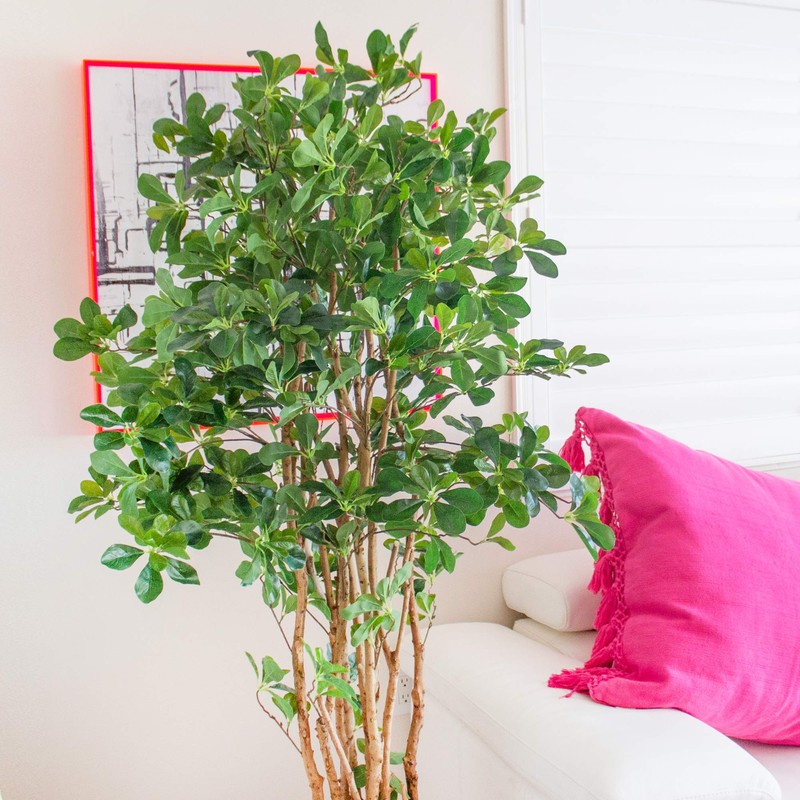 Nearly Natural Olive Silk Tree, 6', Black