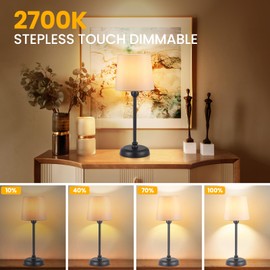Small Cordless Table Lamp Touch Control, 6000mAh Battery Powered, Low Battery Reminder, Bedside Night Lamp can Stepless Dimming, Portable Table Lamp for Restaurant/Bedroom/Offices/Cafe (Black, High)