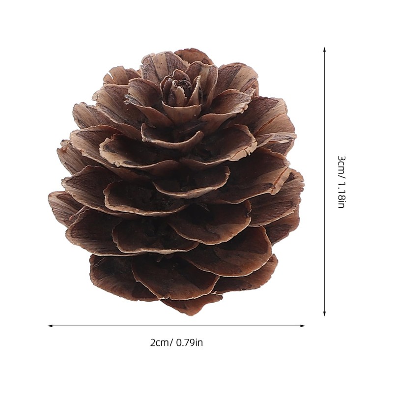 GRIRIW 100pcs Pine Cones Decorations - Natural Pine Cones Bulk